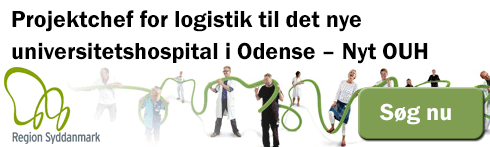 Region Syddanmark