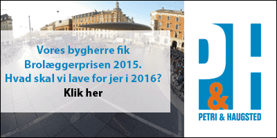 Petri & Haugsted as